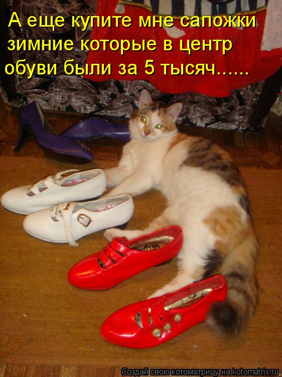 А еще купите мне сапожки зимние которые в центр обуви были за 5 тысяч......... Котоматрица: А еще купите мне сапожки зимние которые в центр обуви были за 5 тысяч......