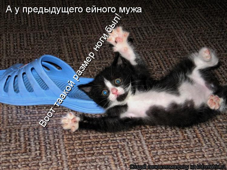 А у предыдущего ейного мужа Воот таакой размер ноги был!... Котоматрица: А у предыдущего ейного мужа Воот таакой размер ноги был!