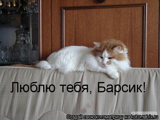 Люблю тебя, Барсик!... Котоматрица: Люблю тебя, Барсик!