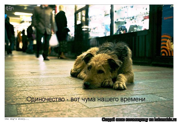 Одиночество - вот чума нашего времени.......... Котоматрица: Одиночество - вот чума нашего времени.......