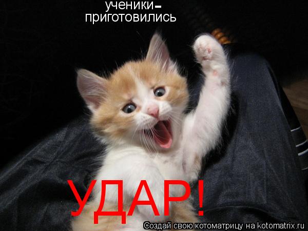 ученики УДАР! - приготовились... Котоматрица: ученики УДАР! - приготовились
