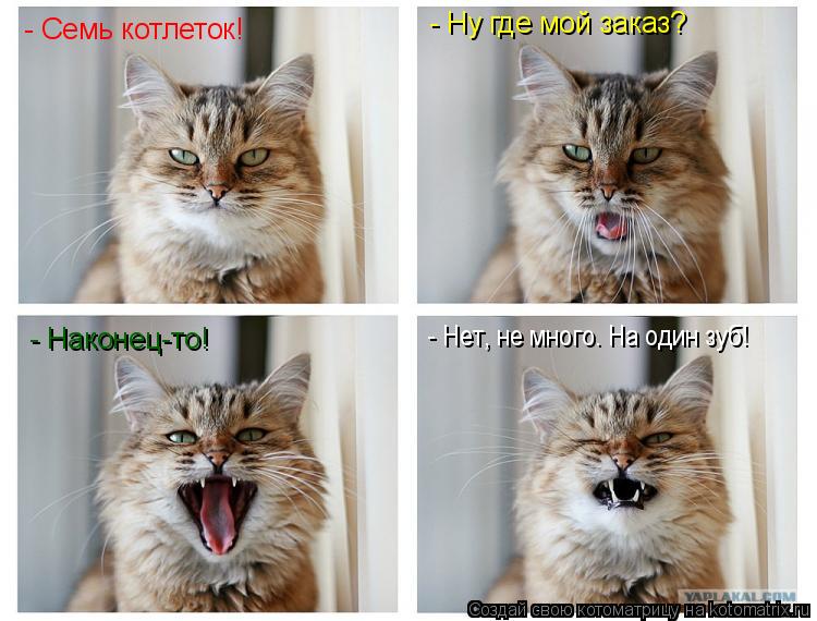 - Семь котлеток! - Ну где мой заказ? - Наконец-то! - Нет, не много. На один зуб!... Котоматрица: - Семь котлеток! - Ну где мой заказ? - Наконец-то! - Нет, не много. На один зуб!