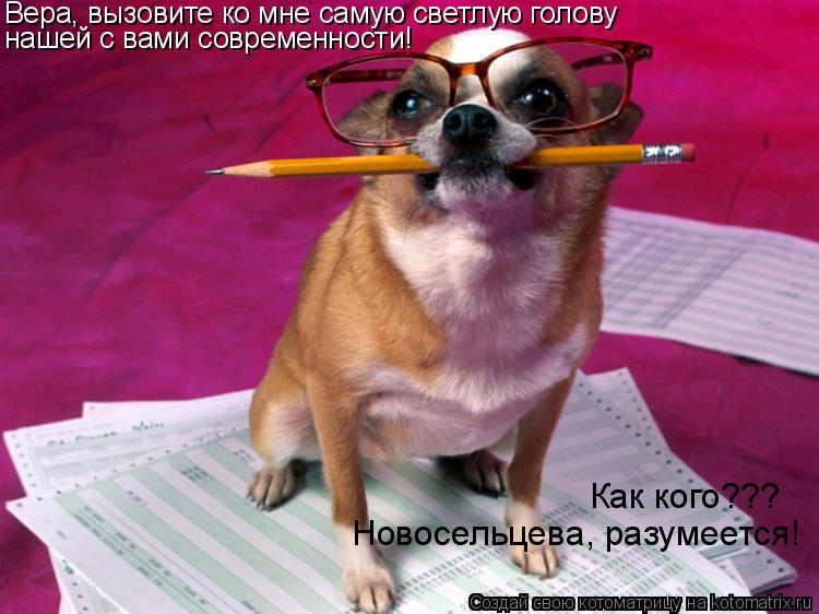 Вера, вызовите ко мне самую светлую голову нашей с вами современности! Как кого??? Новосельцева, раз... Котоматрица: Вера, вызовите ко мне самую светлую голову нашей с вами современности! Как кого??? Новосельцева, разумеется!