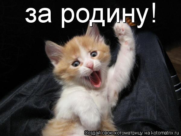 за родину!... Котоматрица: за родину!