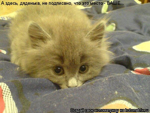 А здесь, дяденька, не подписано, что это место - ВАШЕ...... Котоматрица: А здесь, дяденька, не подписано, что это место - ВАШЕ...