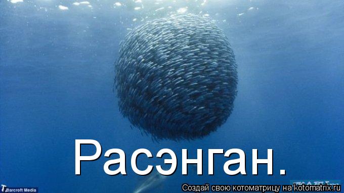 Расэнган.... Котоматрица: Расэнган.