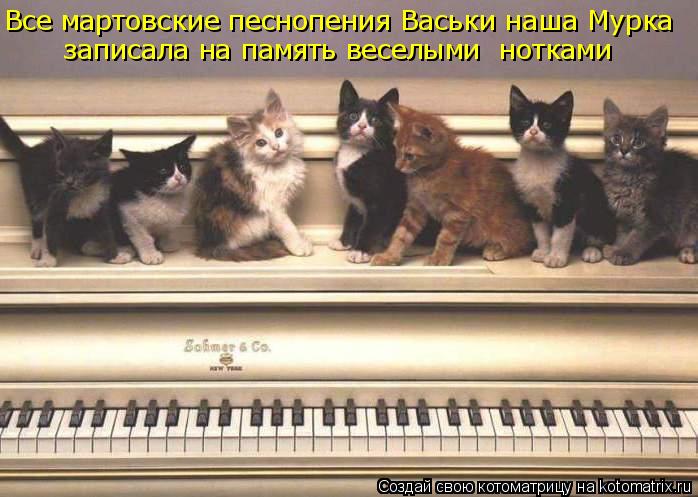 Все мартовские песнопения Васьки наша Мурка записала на память веселыми нотками... Котоматрица: Все мартовские песнопения Васьки наша Мурка записала на память веселыми нотками