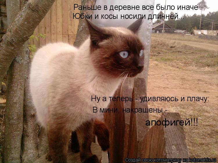Раньше в деревне все было иначе Юбки и косы носили длинней... Ну а теперь - удивляюсь и плачу: В мини... Котоматрица: Раньше в деревне все было иначе Юбки и косы носили длинней... Ну а теперь - удивляюсь и плачу: В мини, накрашены - апофигей!!!