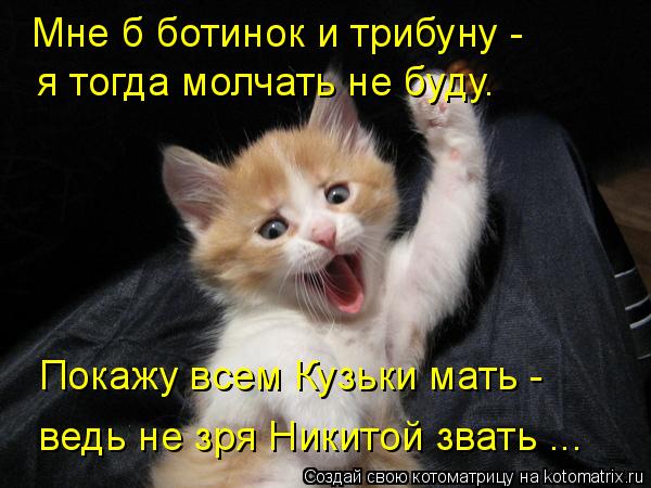 Мне б ботинок и трибуну - я тогда молчать не буду. Покажу всем Кузьки мать - ведь не зря Никитой зват... Котоматрица: Мне б ботинок и трибуну - я тогда молчать не буду. Покажу всем Кузьки мать - ведь не зря Никитой звать ...