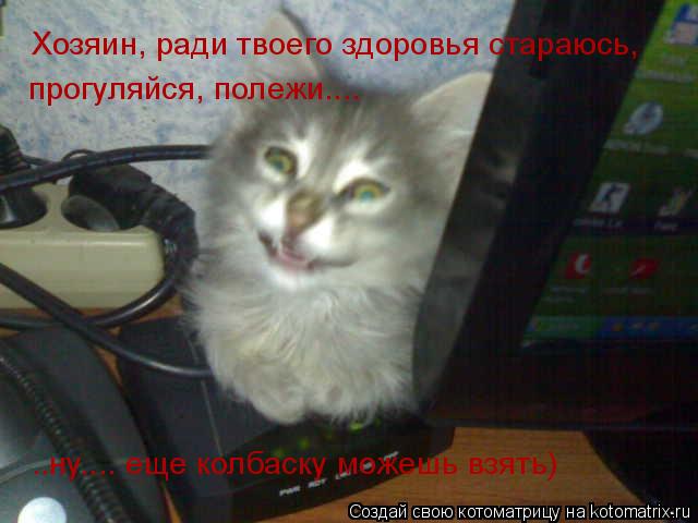 Хозяин, ради твоего здоровья стараюсь, прогуляйся, полежи.... ..ну.... еще колбаску можешь взять)... Котоматрица: Хозяин, ради твоего здоровья стараюсь, прогуляйся, полежи.... ..ну.... еще колбаску можешь взять)