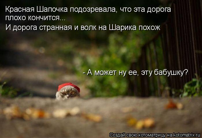 Красная Шапочка подозревала, что эта дорога плохо кончится... И дорога странная и волк на Шарика похо... Котоматрица: Красная Шапочка подозревала, что эта дорога плохо кончится... И дорога странная и волк на Шарика похож - А может ну ее, эту бабушку?