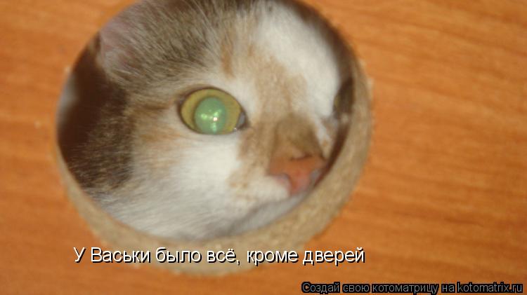 У Васьки было всё, кроме дверей... Котоматрица: У Васьки было всё, кроме дверей