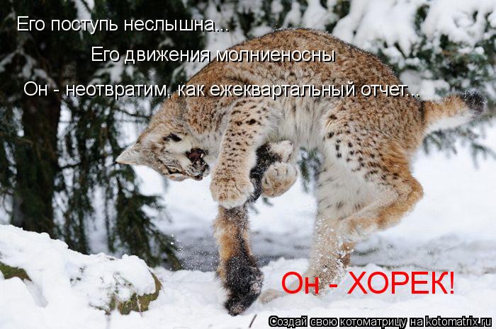 Его поступь неслышна... Его движения молниеносны Он - неотвратим, как ежеквартальный отчет... Он - ХО... Котоматрица: Его поступь неслышна... Его движения молниеносны Он - неотвратим, как ежеквартальный отчет... Он - ХОРЕК!