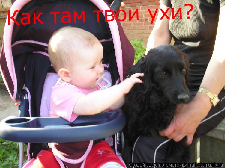 Как там твои ухи?... Котоматрица: Как там твои ухи?