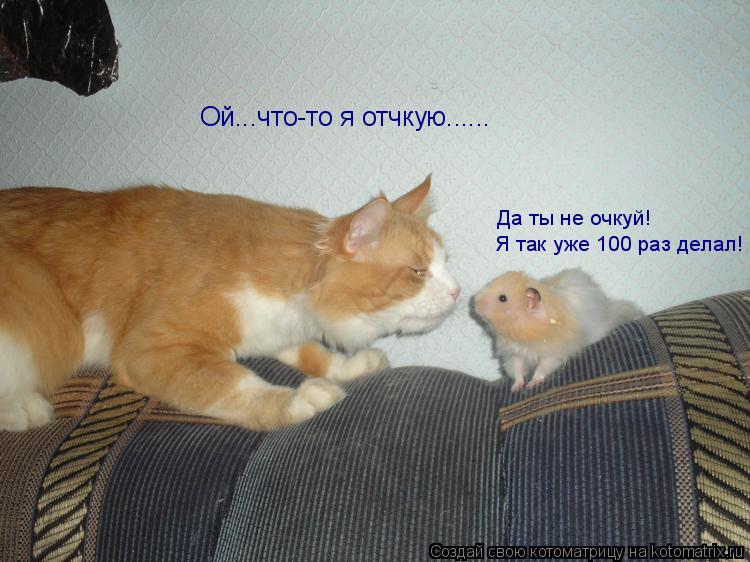 Котоматрица: Ой...что-то я отчкую...... Да ты не очкуй!  Я так уже 100 раз делал!