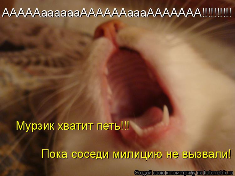 Котоматрица: АААААааааааААААААаааААААААА!!!!!!!!!! Мурзик хватит петь!!! Пока соседи милицию не вызвали!