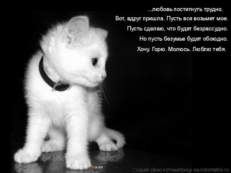 Котоматрица: ...любовь постигнуть трудно. Вот, вдруг пришла. Пусть все возьмет мое. Пусть сделаю, что будет безрассудно. Но пусть безумье будет обоюдно. Хо