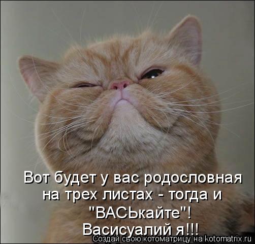 Котоматрица: Вот будет у вас родословная  на трех листах - тогда и  "ВАСЬкайте"! Васисуалий я!!!