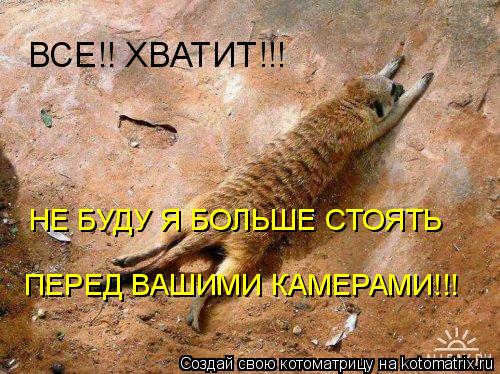 Котоматрица: ВСЕ!! ХВАТИТ!!! НЕ БУДУ Я БОЛЬШЕ СТОЯТЬ ПЕРЕД ВАШИМИ КАМЕРАМИ!!!