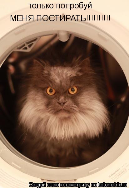 Котоматрица: только попробуй  МЕНЯ ПОСТИРАТЬ!!!!!!!!!!