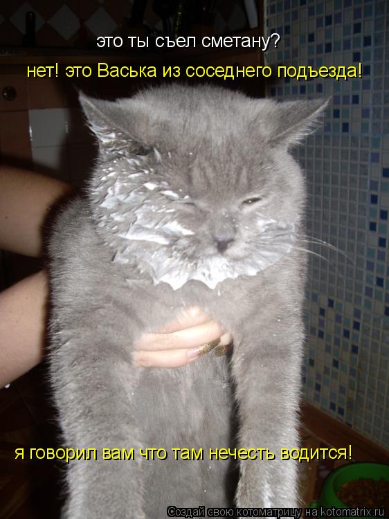 Котоматрица: это ты съел сметану? нет! это Васька из соседнего подъезда! я говорил вам что там нечесть водится!