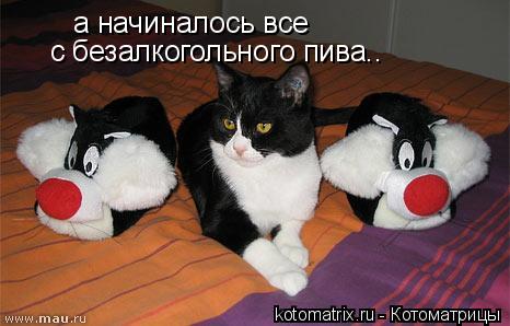 Котоматрица: а начиналось все  с безалкогольного пива..