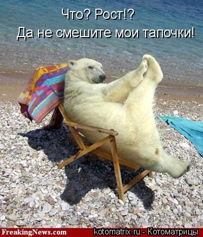 Котоматрица: Что? Рост!?  Да не смешите мои тапочки!
