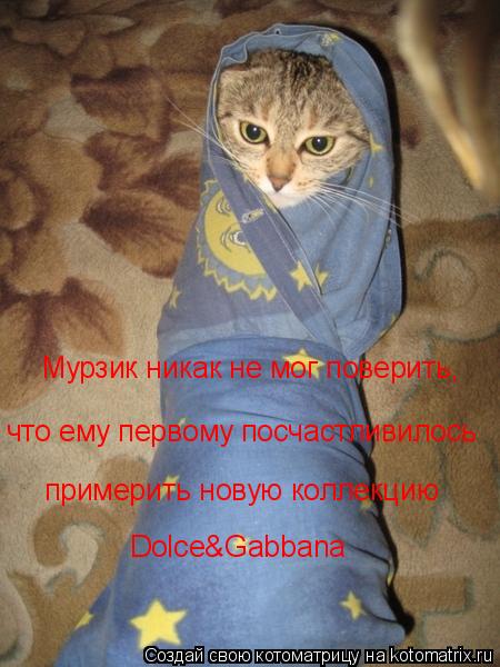 Котоматрица: Мурзик никак не мог поверить, что ему первому посчастливилось примерить новую коллекцию Dolce&Gabbana