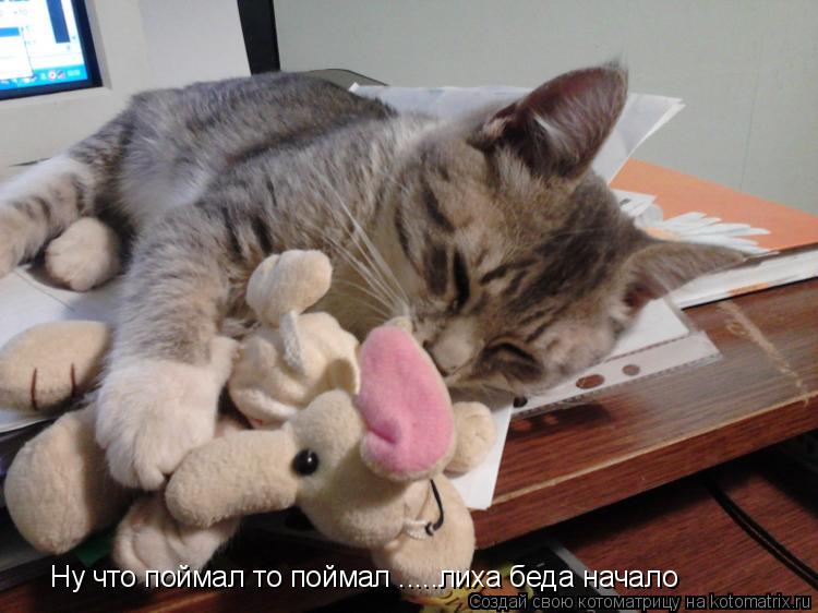 Котоматрица: Ну что поймал то поймал .....лиха беда начало