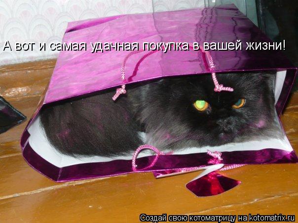 Котоматрица: А вот и самая удачная покупка в вашей жизни!
