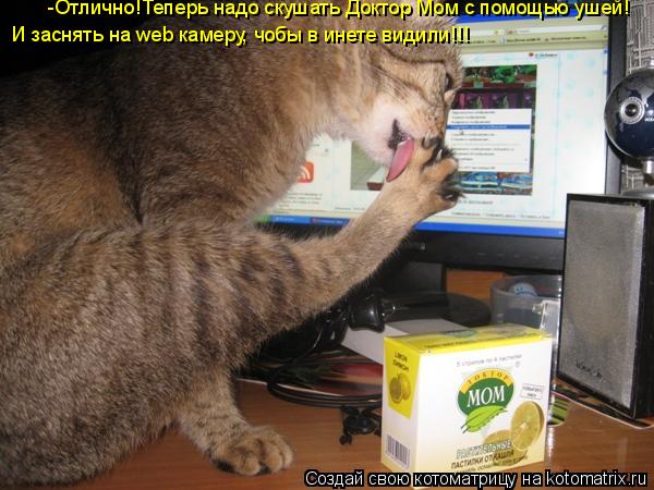 -Отлично!Теперь надо скушать Доктор Мом с помощью ушей! И заснять на web камеру, чобы в инете видили!... Котоматрица: -Отлично!Теперь надо скушать Доктор Мом с помощью ушей! И заснять на web камеру, чобы в инете видили!!!