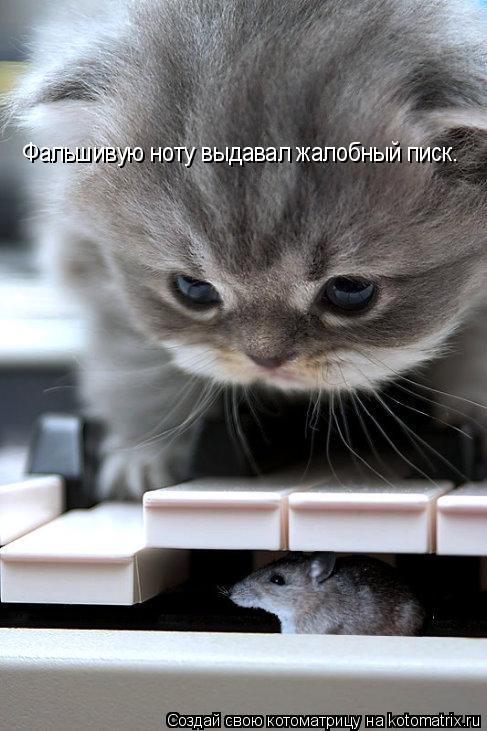 Котоматрица: Фальшивую ноту выдавал жалобный писк.