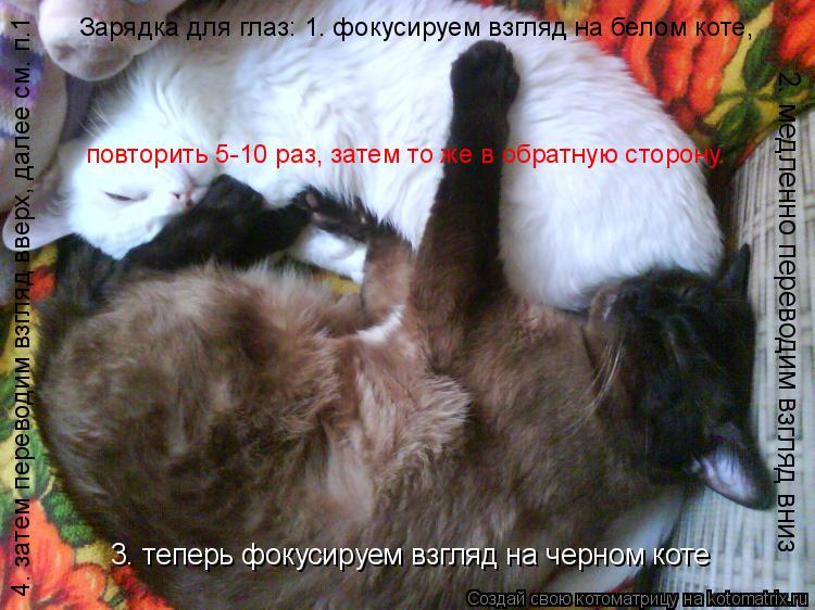 Котоматрица: 4. затем переводим взгляд вверх, далее см. п.1 3. теперь фокусируем взгляд на черном коте  2. медленно переводим взгляд вниз  Зарядка для глаз: 1. 