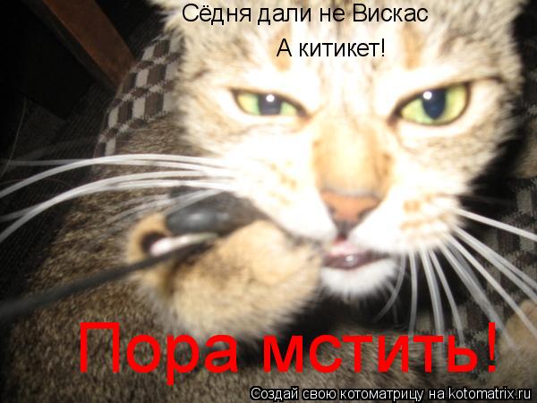 Сёдня дали не Вискас А китикет! Пора мстить! Пора мстить!... Котоматрица: Сёдня дали не Вискас А китикет! Пора мстить! Пора мстить!