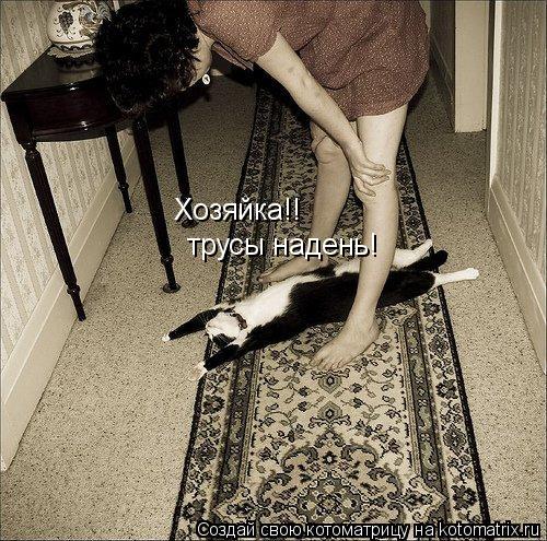 Котоматрица: Хозяйка!! трусы надень!