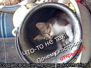 Что-то не так! Почему кострюля открыта?!... Котоматрица: Что-то не так! Почему кострюля открыта?!