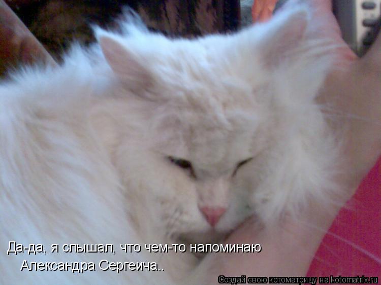 Котоматрица: Да-да, я слышал, что чем-то напоминаю  Александра Сергеича..