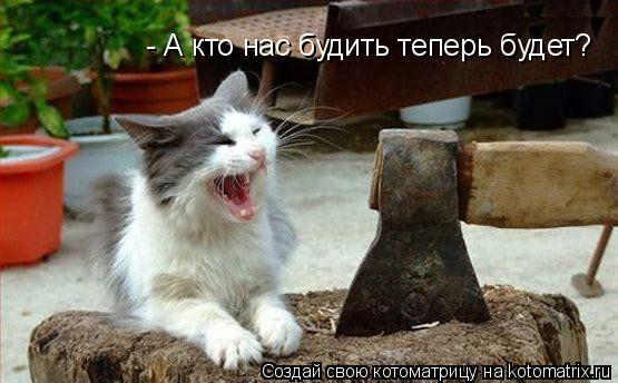 Котоматрица: - А кто нас будить теперь будет?