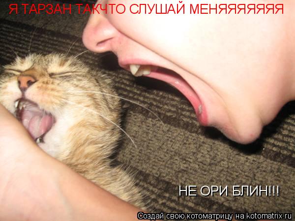 Котоматрица: НЕ ОРИ БЛИН!!! Я ТАРЗАН ТАКЧТО СЛУШАЙ МЕНЯЯЯЯЯЯЯ