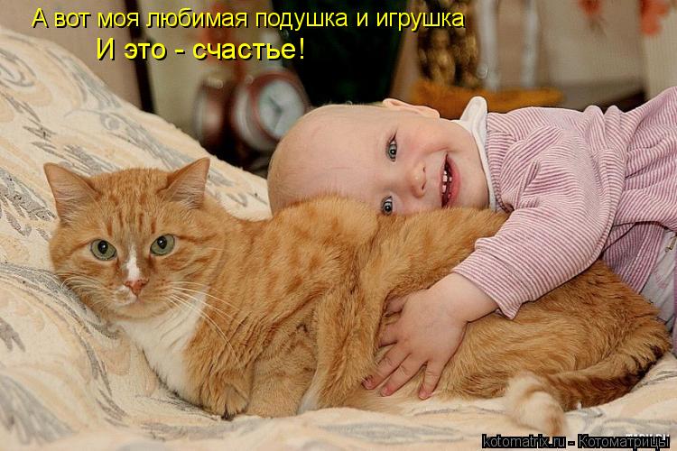 Котоматрица: И это - счастье! А вот моя любимая подушка и игрушка