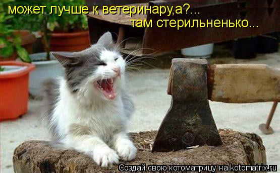 Котоматрица: может лучше к ветеринару,а?... там стерильненько...