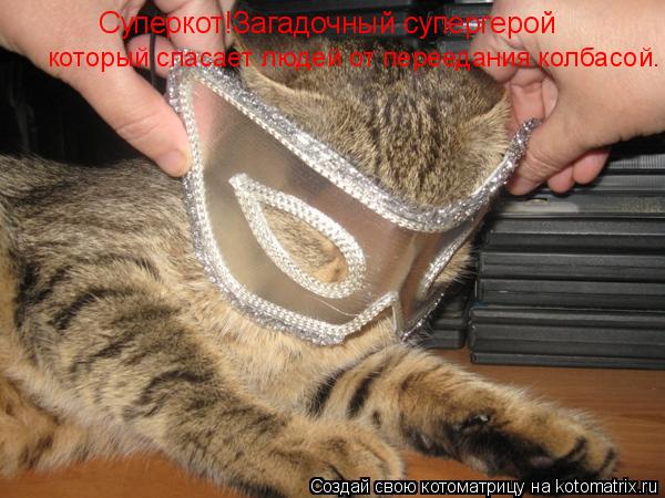 Суперкот!Загадочный супергерой который спасает людей от переедания колбасой.... Котоматрица: Суперкот!Загадочный супергерой который спасает людей от переедания колбасой.