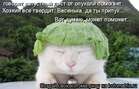 Котоматрица: говорят капустный лист от опухоли помогает Хозяин все твердит: Васенька, да ты припух... Вот думаю, может поможет...