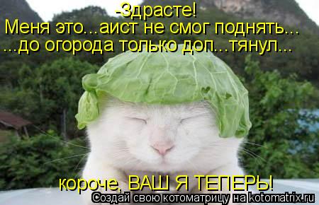 Котоматрица: -Здрасте! Меня это...аист не смог поднять... ...до огорода только доп...тянул... короче, ВАШ Я ТЕПЕРЬ!