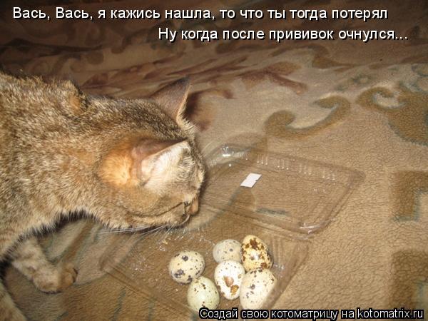 Вась, Вась, я кажись нашла, то что ты тогда потерял Ну когда после прививок очнулся...... Котоматрица: Вась, Вась, я кажись нашла, то что ты тогда потерял Ну когда после прививок очнулся...