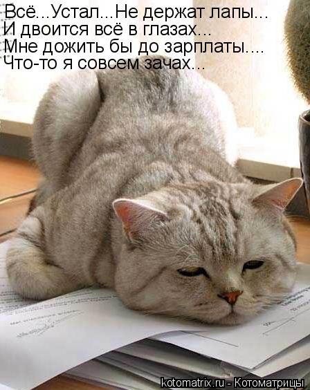 Котоматрица: Всё...Устал...Не держат лапы... И двоится всё в глазах... Мне дожить бы до зарплаты.... Что-то я совсем зачах...