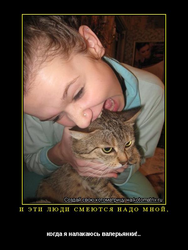 И эти люди смеются надо мной, когда я налакаюсь валерьянки!..... Котоматрица: И эти люди смеются надо мной, когда я налакаюсь валерьянки!..