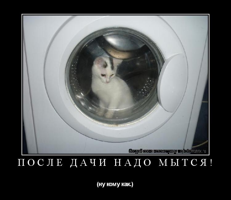 после дачи надо мытся! (ну кому как.)... Котоматрица: после дачи надо мытся! (ну кому как.)
