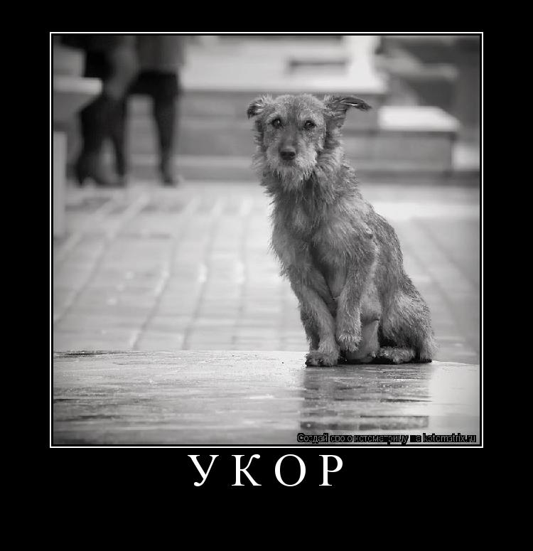 УКОР ... Котоматрица: УКОР