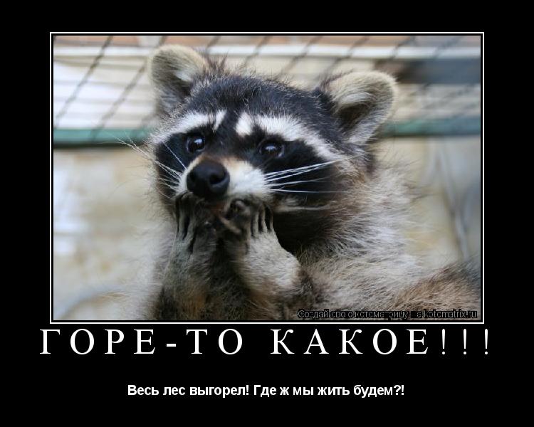 Горе-то какое!!! Весь лес выгорел! Где ж мы жить будем?!... Котоматрица: Горе-то какое!!! Весь лес выгорел! Где ж мы жить будем?!